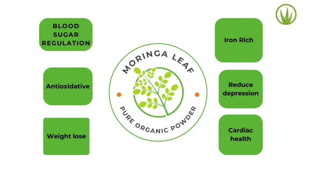 Moringa Powder Benefits
