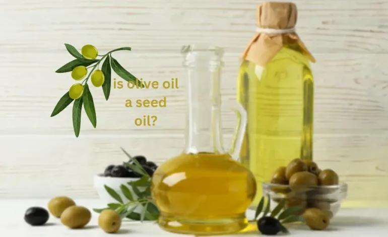  Is Olive Oil a Seed Oil? The Truth About This Golden Liquid