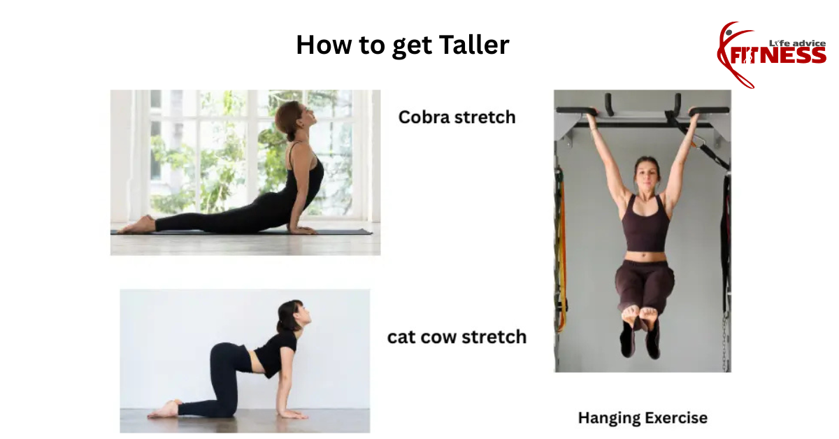 how to get taller