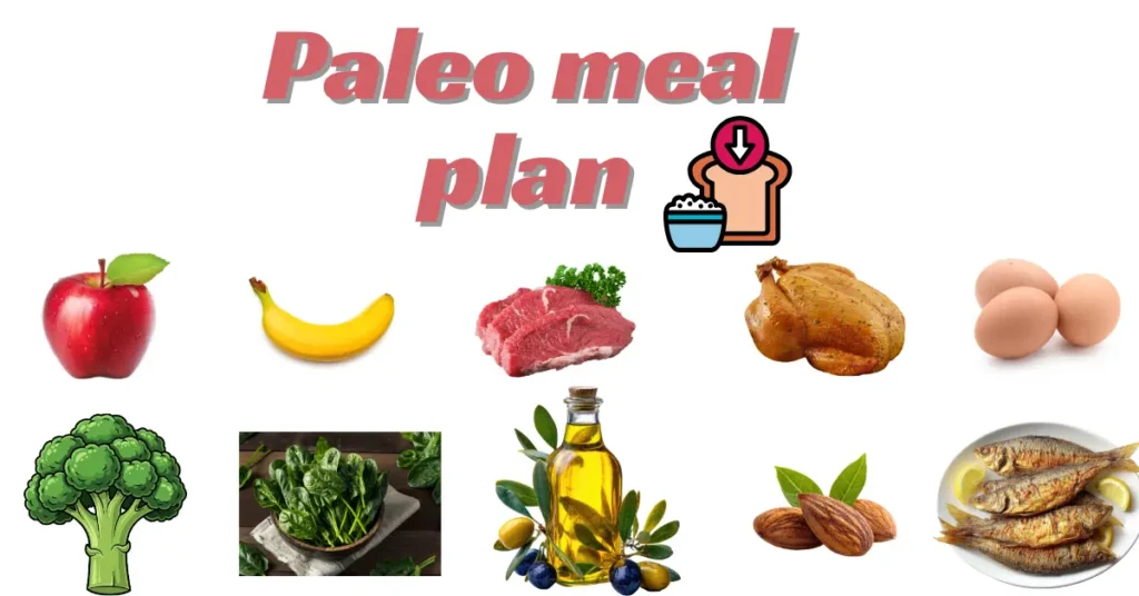 paleo meal plan